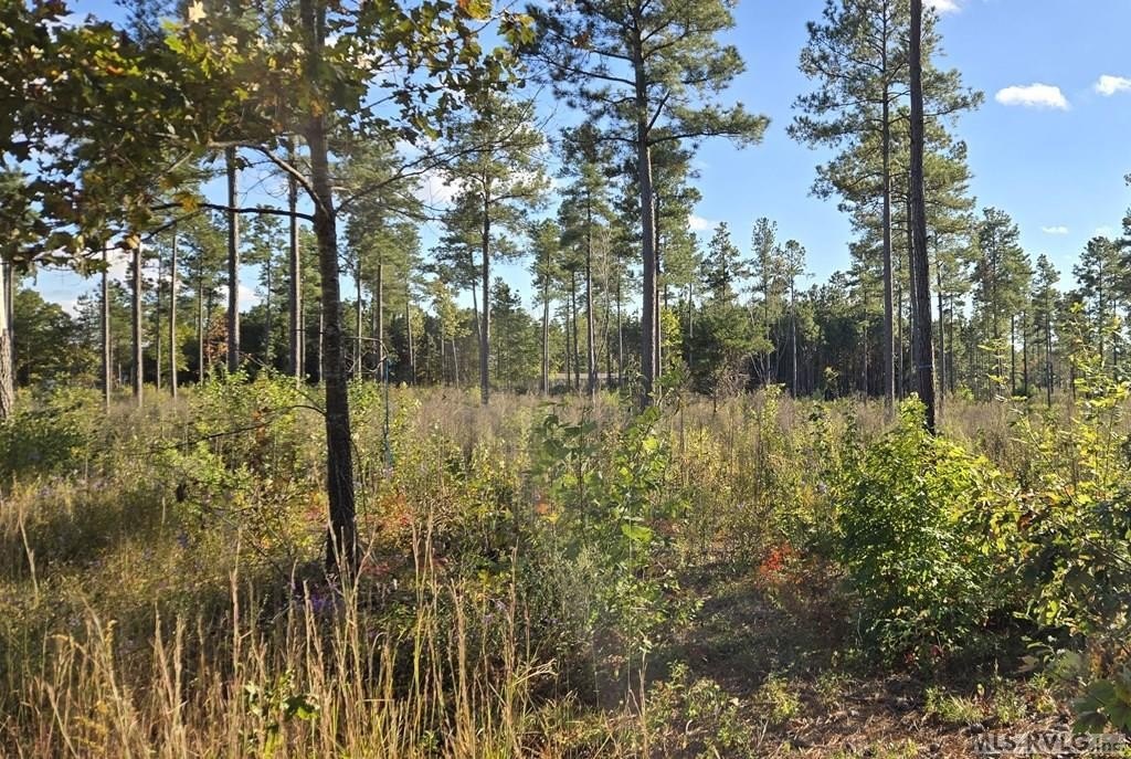 Manufactured Housing - Lot 5 Christanna Hwy, Lawrenceville, VA