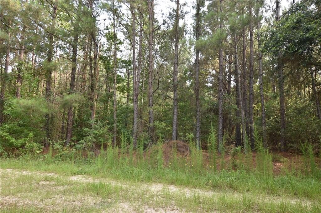 Other - 00 LOVERN Road, Pearl River, LA