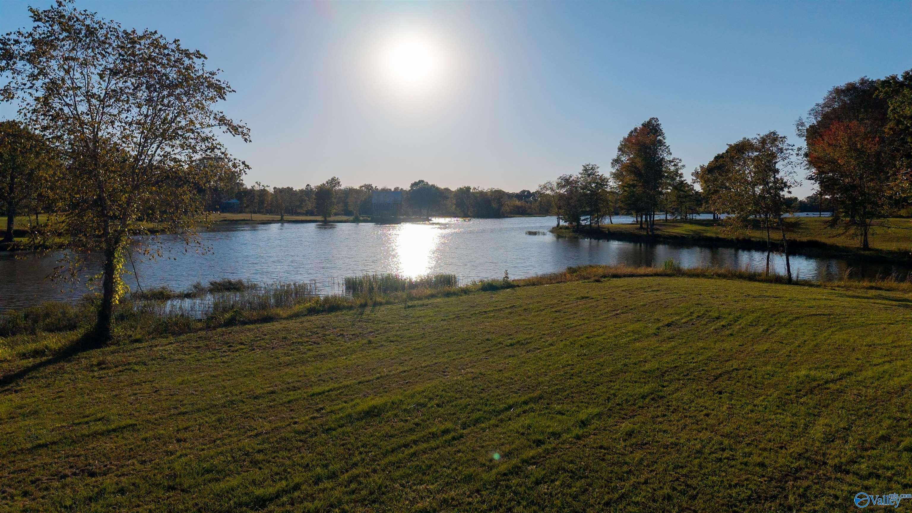 Other - County Road 115 lot: 29, Cedar Bluff, AL