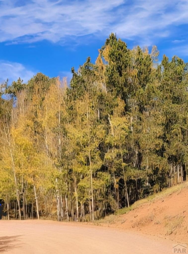 Other - 864 Wellington Dr, Cripple Creek, CO