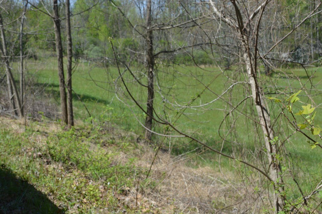 Other - 1404 Holly Point Road, Hiawassee, GA