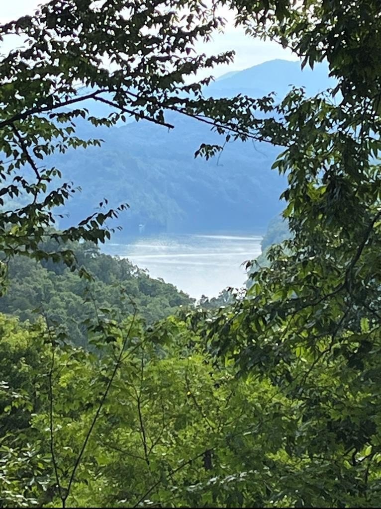 Other - Fontana Trace lot: 18, Almond, NC