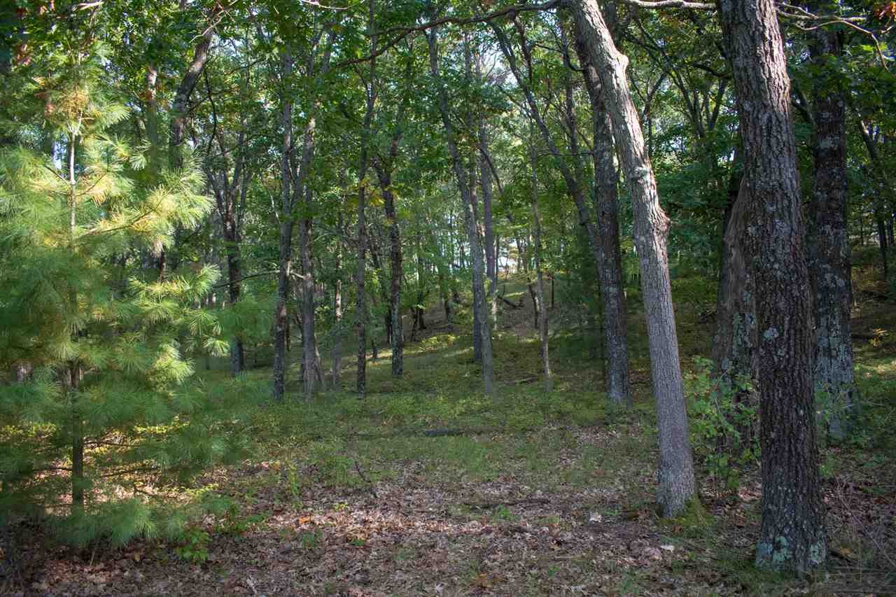 Other - N7109 Timber Ridge Lane, Mauston, WI