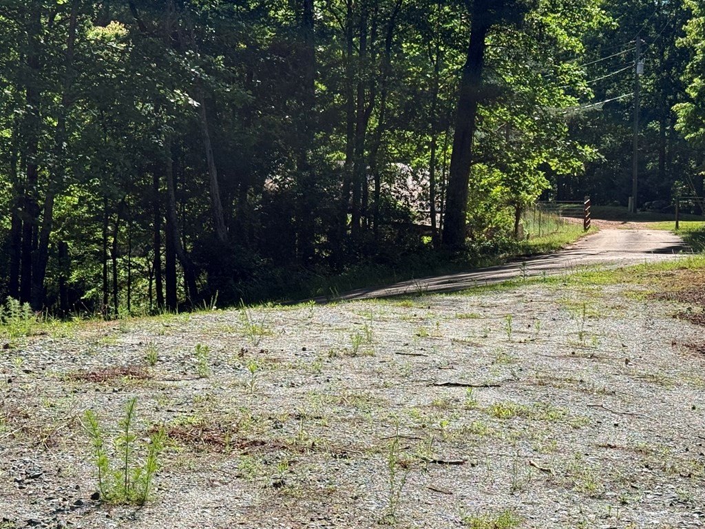 Other - Limber Lost Trail, Cleveland, GA
