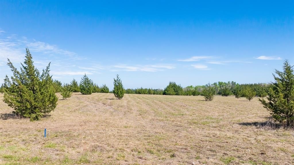 Other - Tbd Lot 1 COUNTY ROAD 43380, Paris, TX