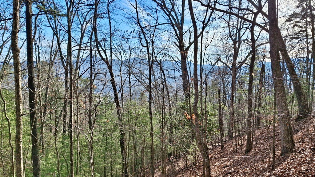 Other - Briarwood Road, Webster, NC