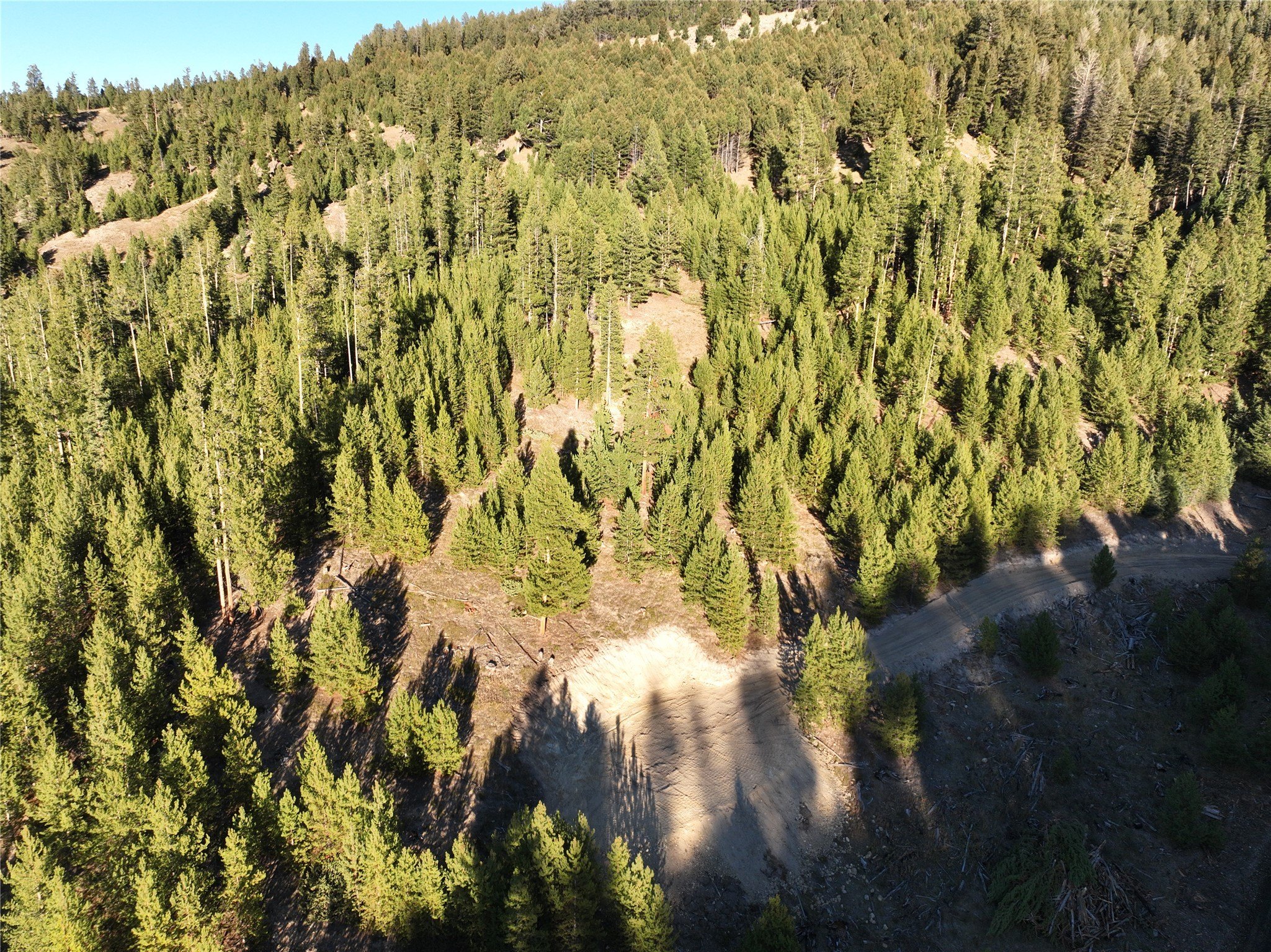 Plots and Land - Lot 5 Ruby Mine Road, Butte, MT