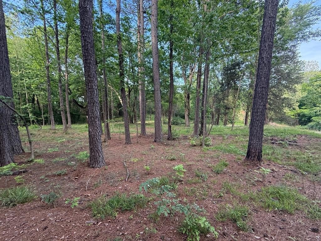 Other - 3 lots Branch Loop, BIG SANDY, TN