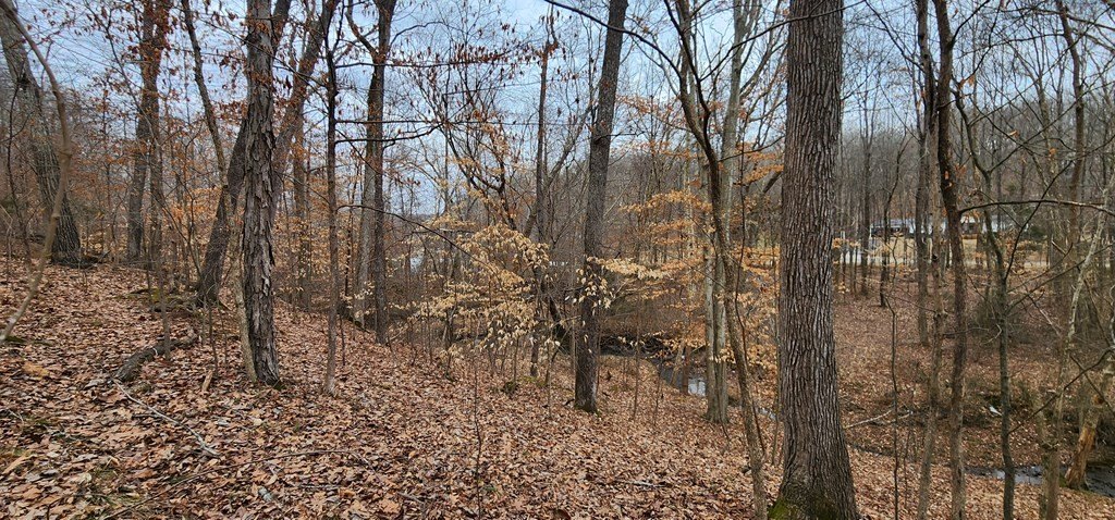 Other - Saddletree Rd, CAMDEN, TN