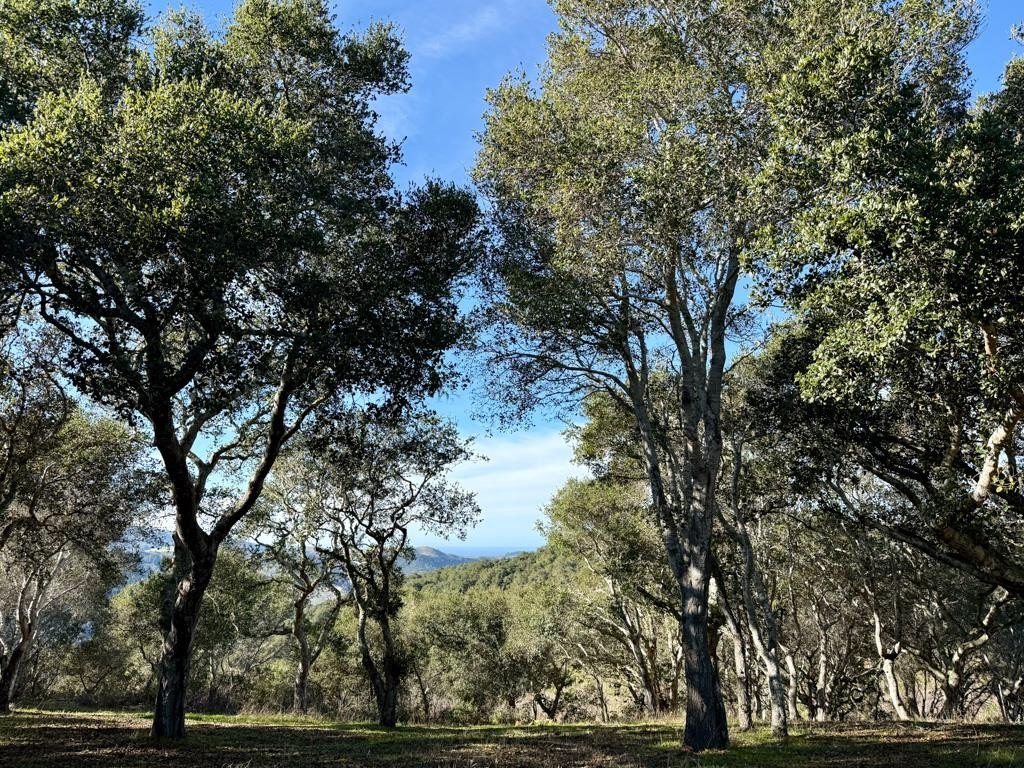 Other - 70 Chamisal PASS, CARMEL, CA