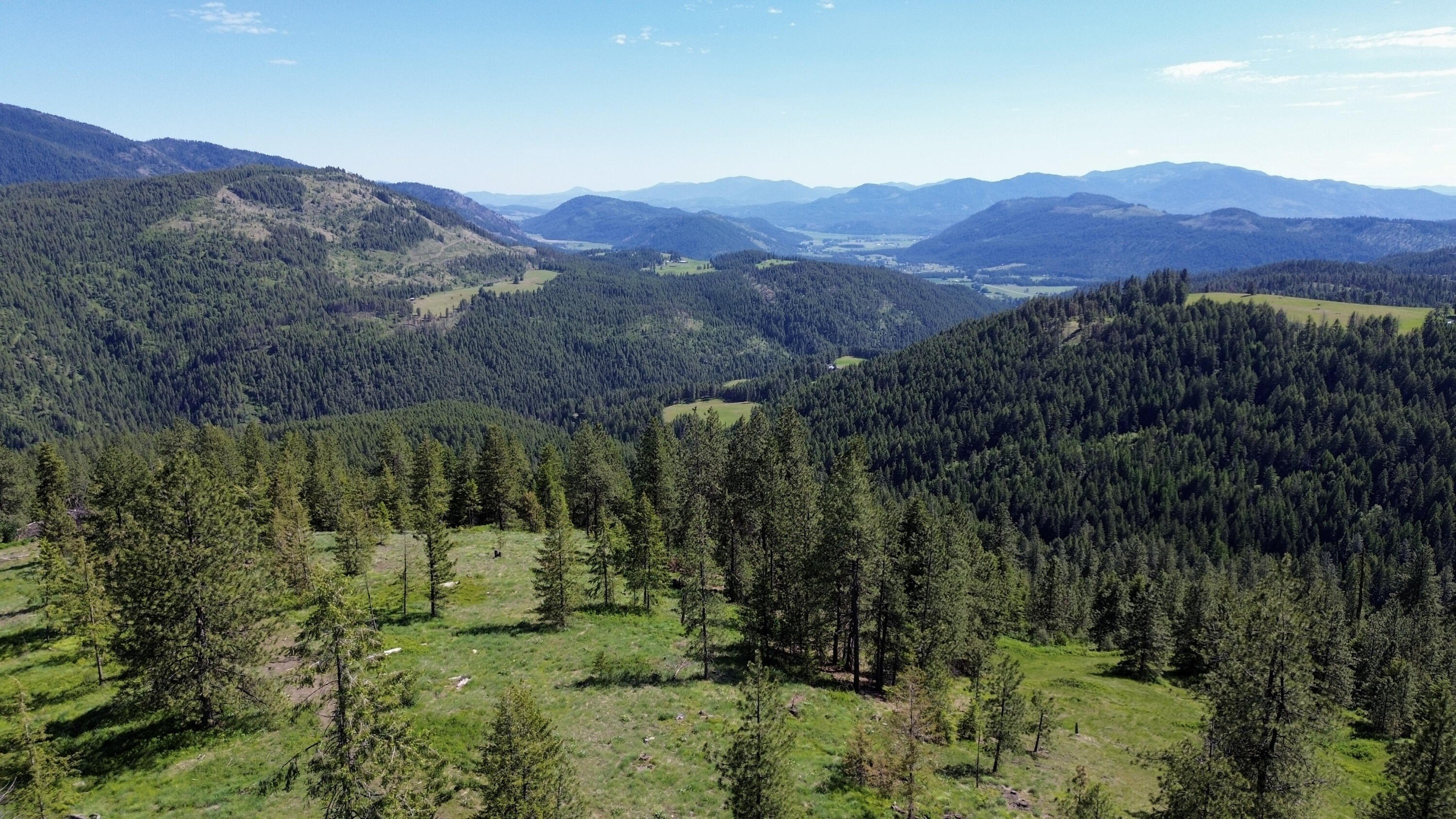 Other - LOT 1,2&3 RANDALL RD, COLVILLE, WA