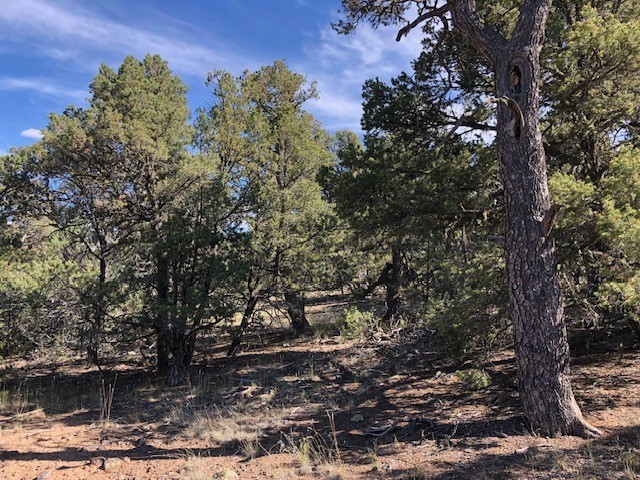 0 24 Acre Portion of Lot 70  