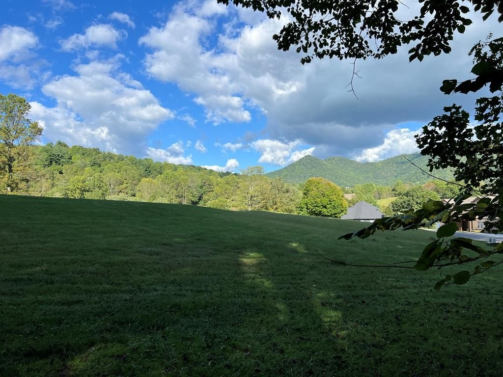 Other - Lot 1d Foxfire Drive, Hayesville, NC