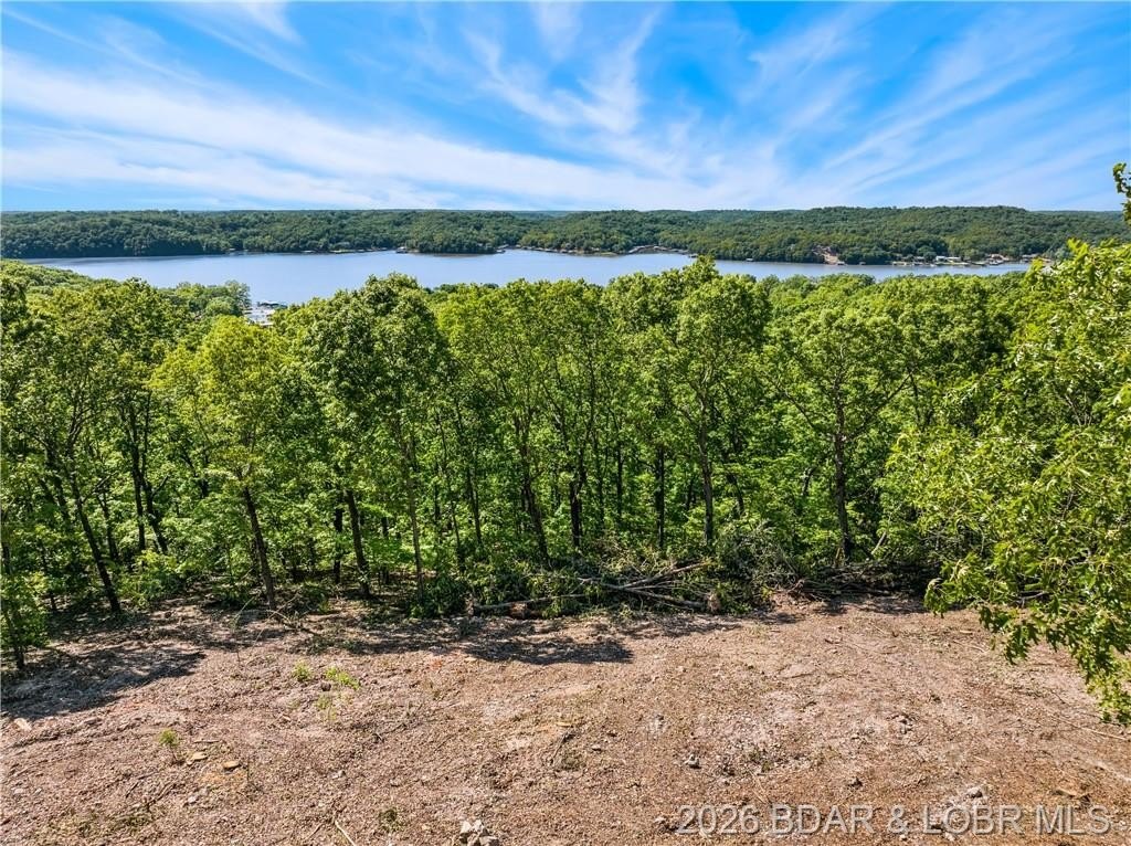 Other - 11.31 AC Wilson Bend Road, Gravois Mills, MO