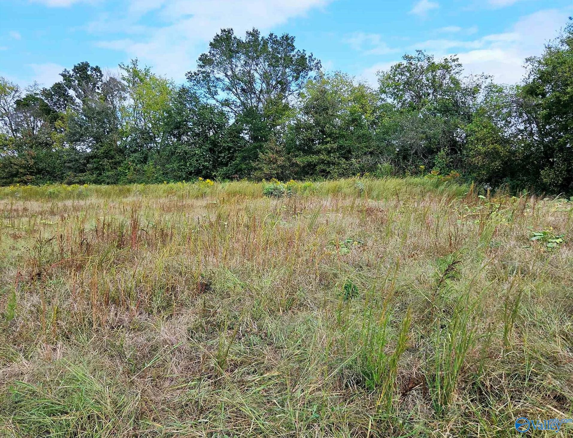 2658 Gordon Terry Pkwy