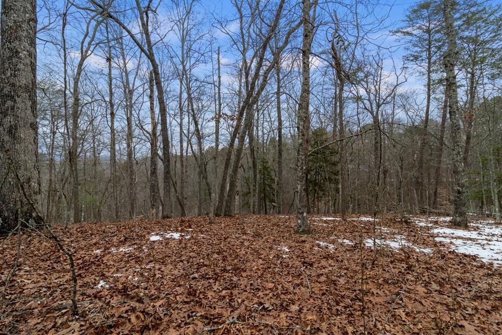 Other - Tr4 Curtis Ridge Road, Blue Ridge, GA