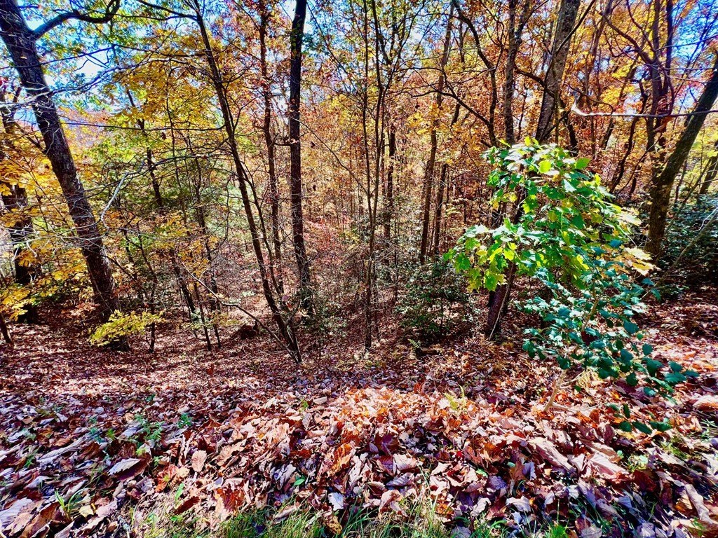 Other - 13 Up The Ridge Road, Blairsville, GA