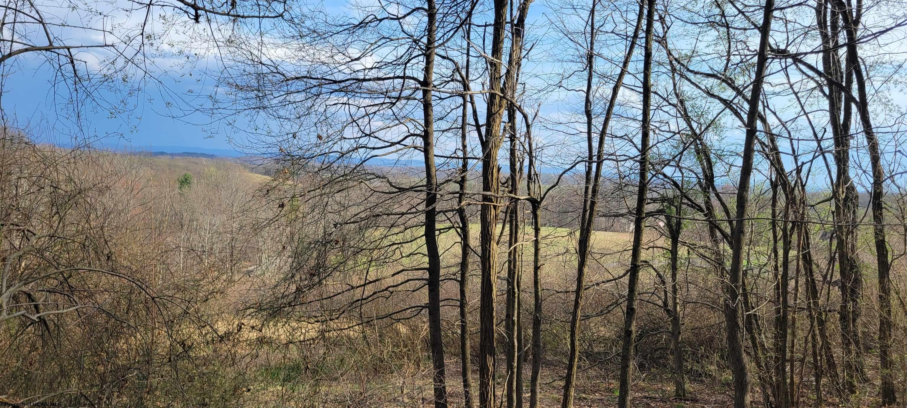 Other - Lot 8 Brewer Road, Morgantown, WV