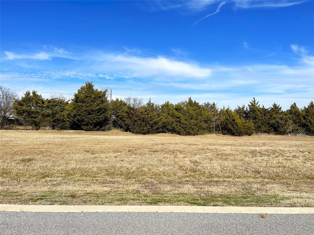Plots and Land - 37 Mission Hills Drive, Gordonville, TX