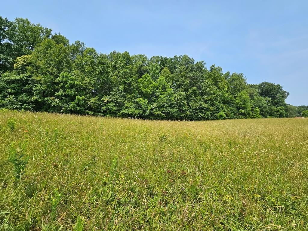 Other - Main St, Dillwyn, VA