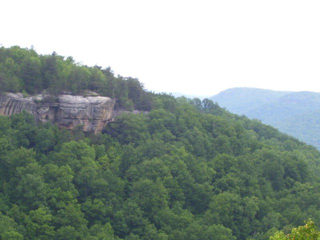 Other - Panther Falls lot: 65, Wilder, TN