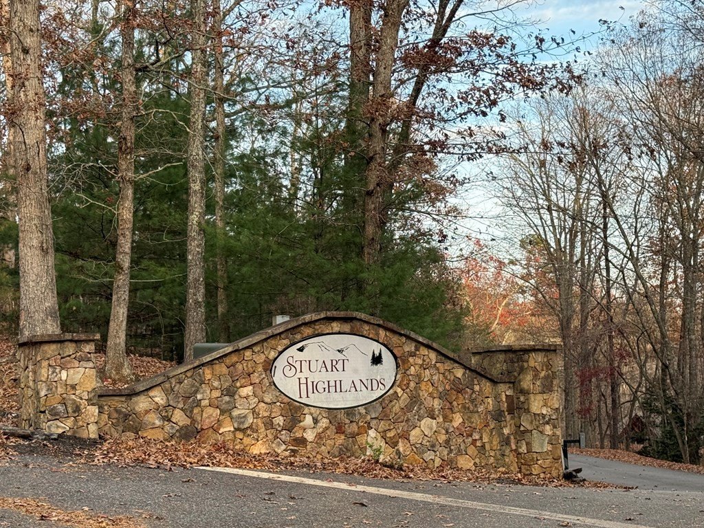 Other - 28/32 Stuart Ridge Road lot: 28,32, Mineral Bluff, GA