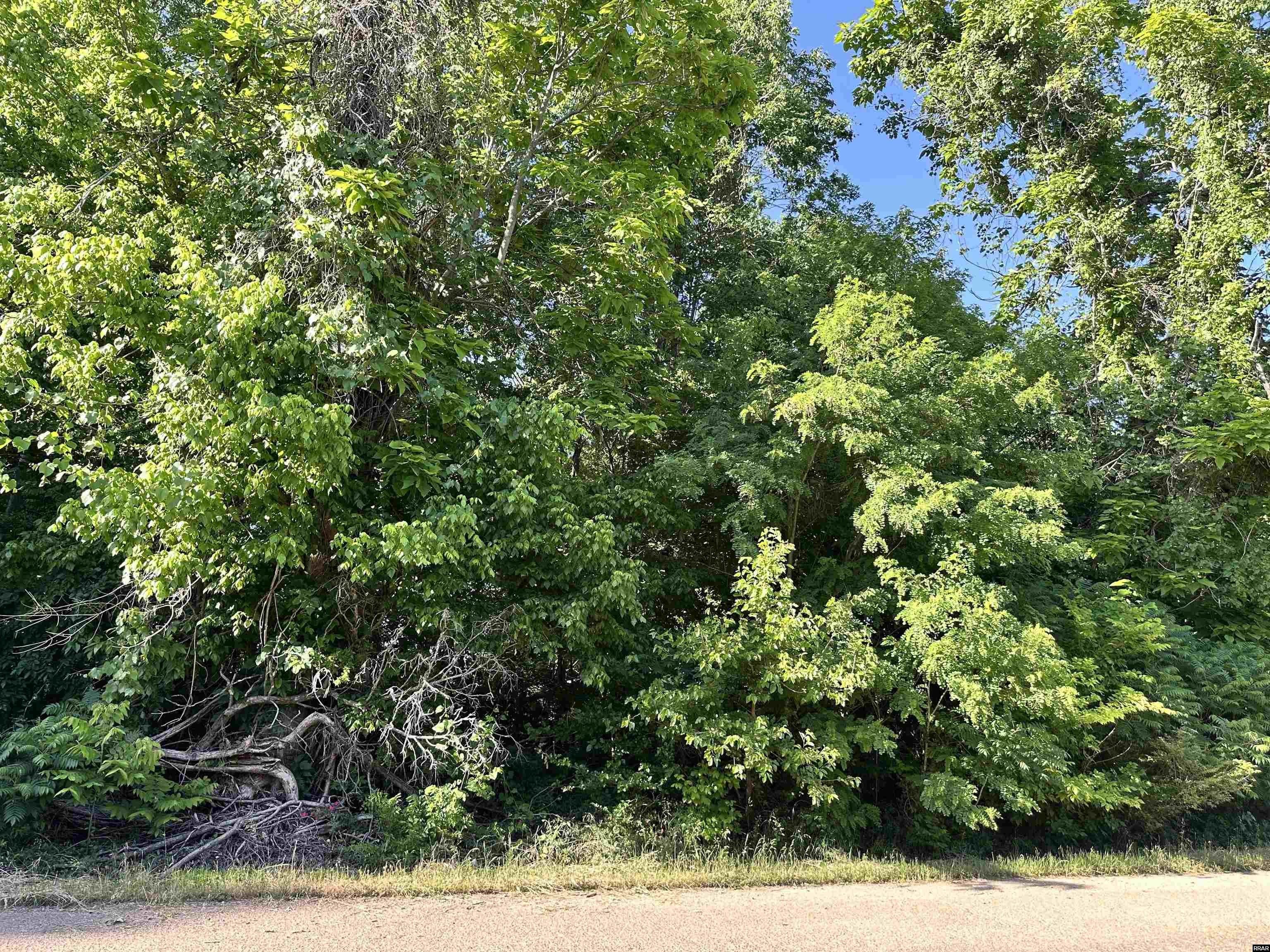 Other - E Palestine Avenue, Obion, TN