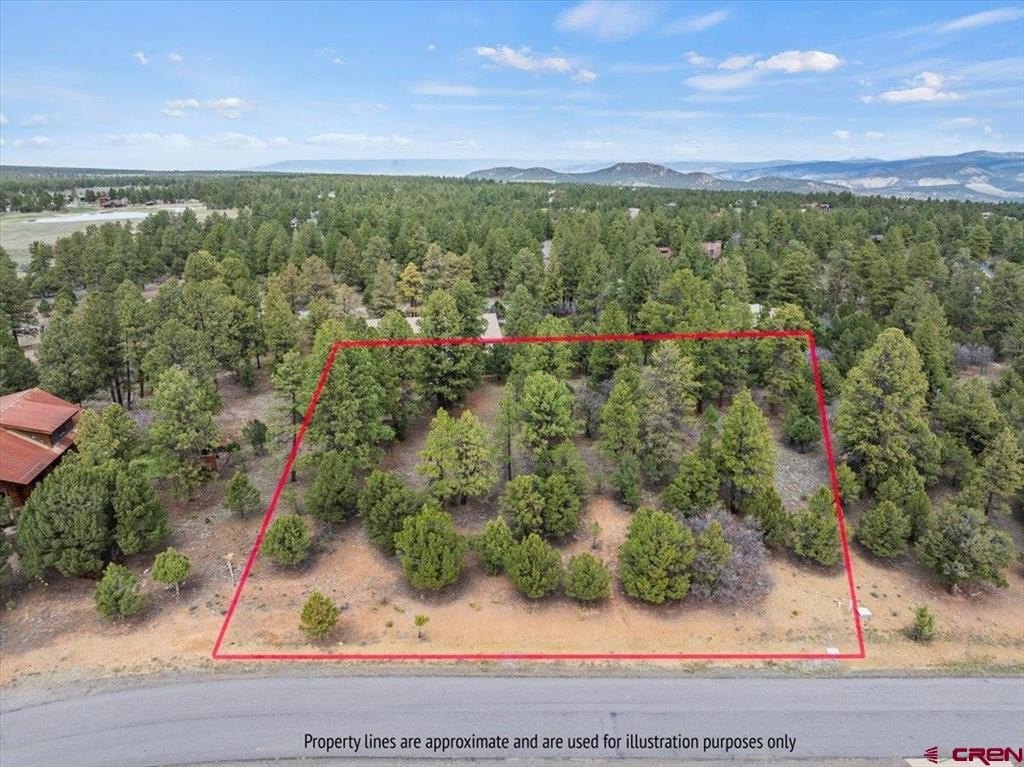 Single Family - 681 Marmot Drive, Ridgway, CO