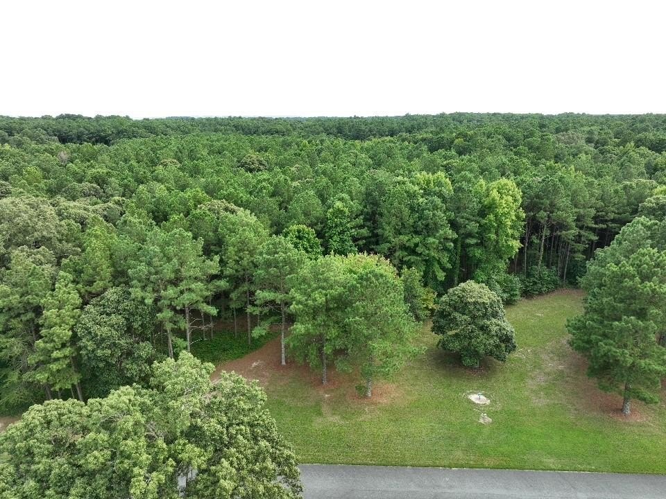 Other - Lot 37 CORBIN HALL LN, HORNTOWN, VA