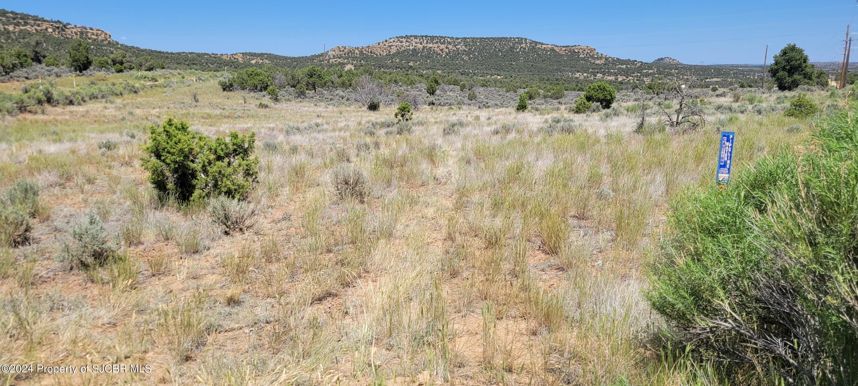 Other - Lots 85,91 NM 511, Navajo Dam, NM