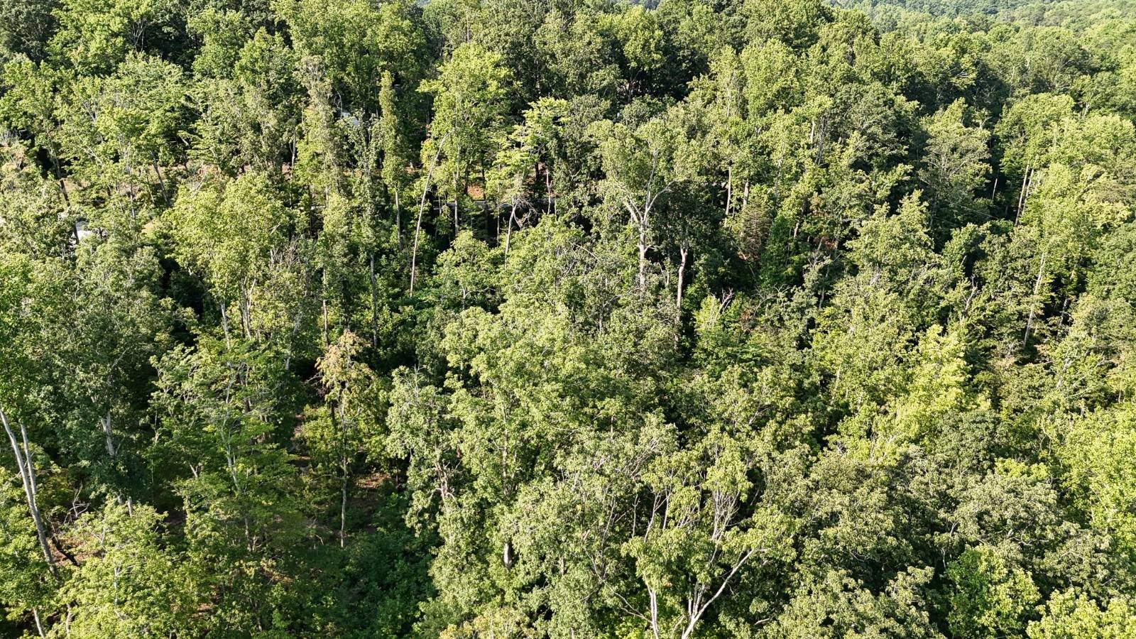 Other - 502 Chinquapin Rd, Travelers Rest, SC