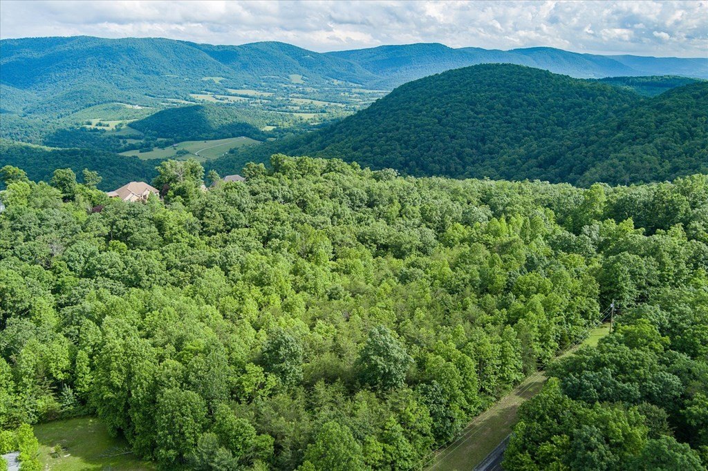 Other - Browns Gap Road lot: 16, Crossville, TN