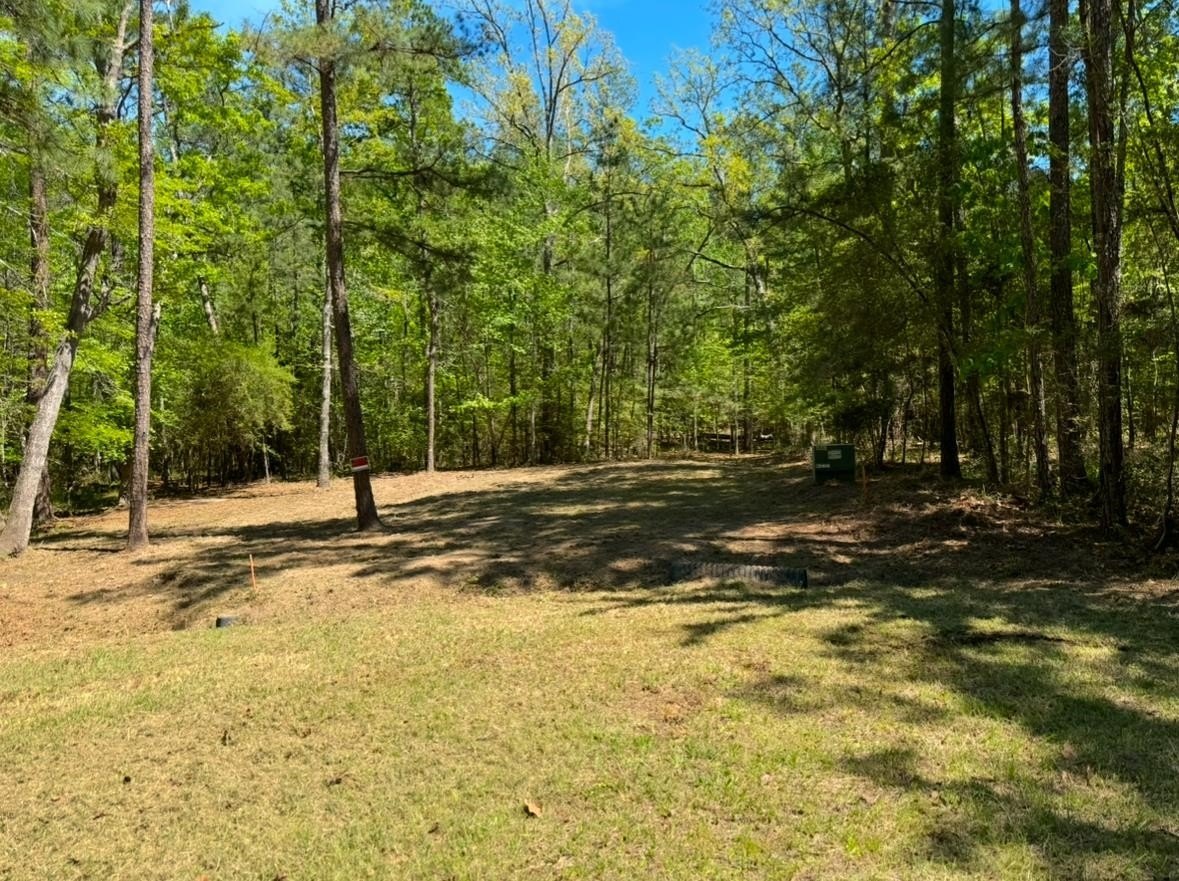 Other - Dingy Ln lot: 38 & 39, Brookeland, TX