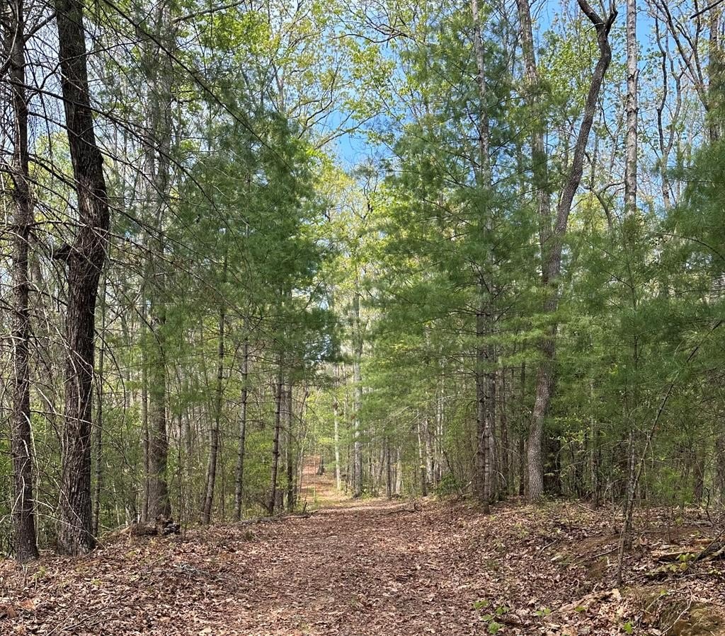 Other - Lot 20 Big Ben Road, Ellijay, GA
