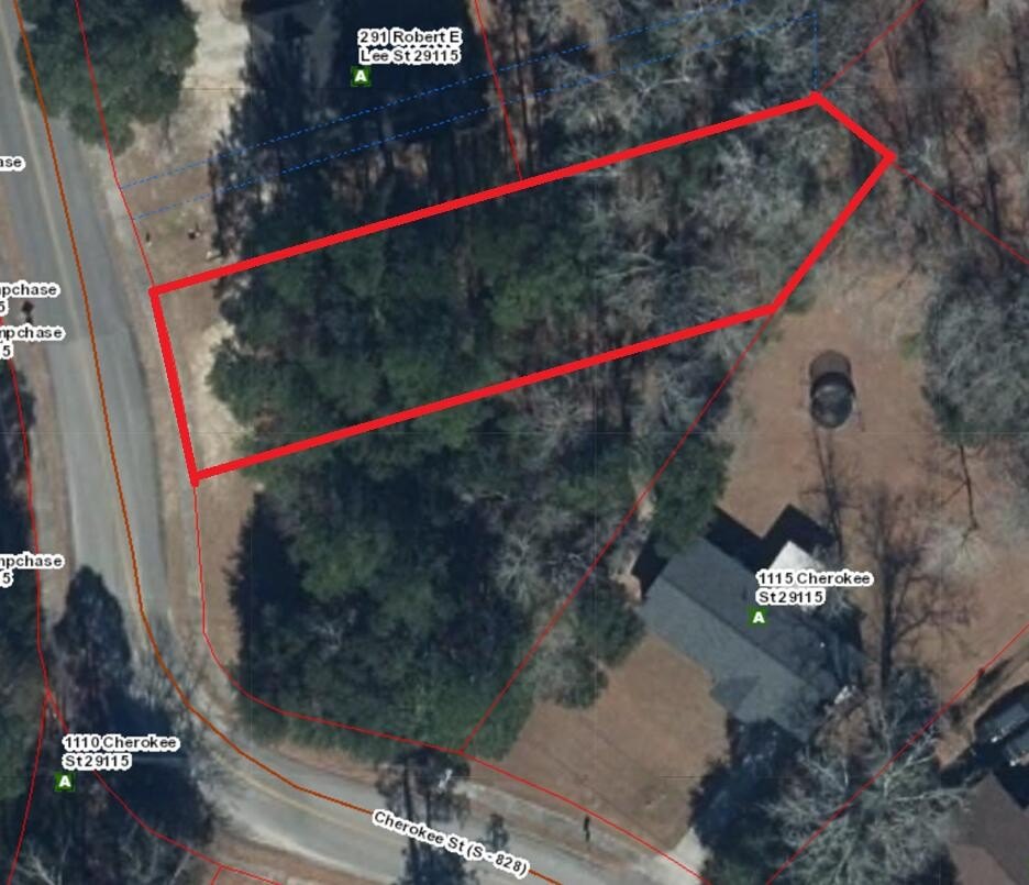 Other - Robert E Lee Road, Orangeburg, SC