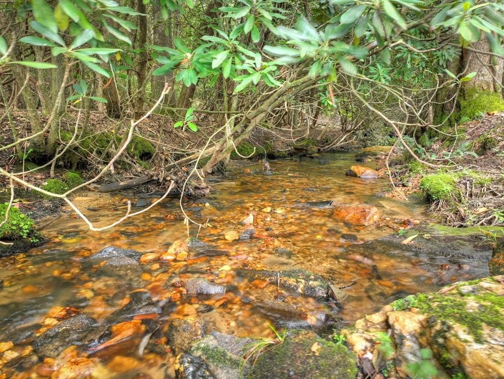 Other - 1696 Rocky Top Road, Blairsville, GA