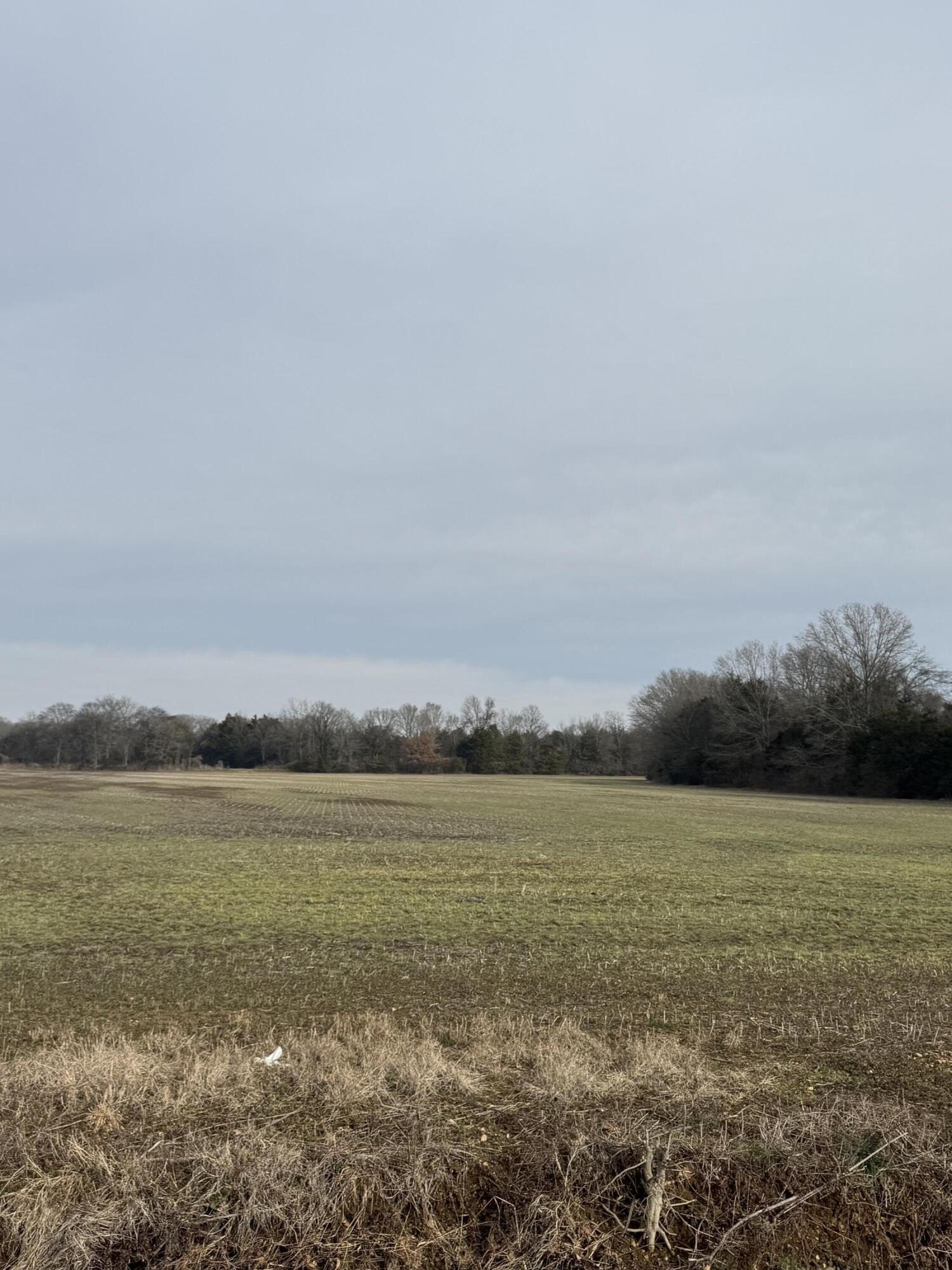 Single Family - Senter St., Tupelo, MS