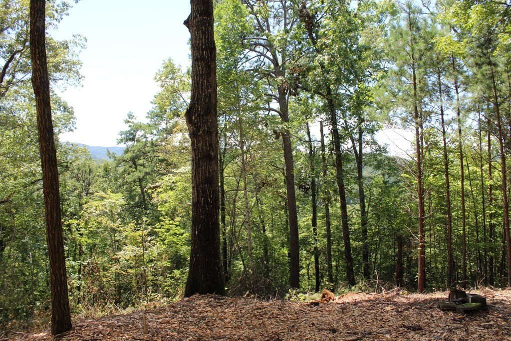 Other - Eagle Fork Trail lot: 5J, Hayesville, NC
