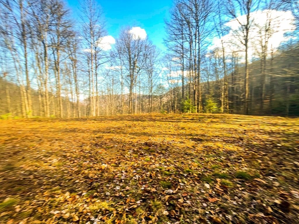 Other - Wild Turkey Drive, Sylva, NC