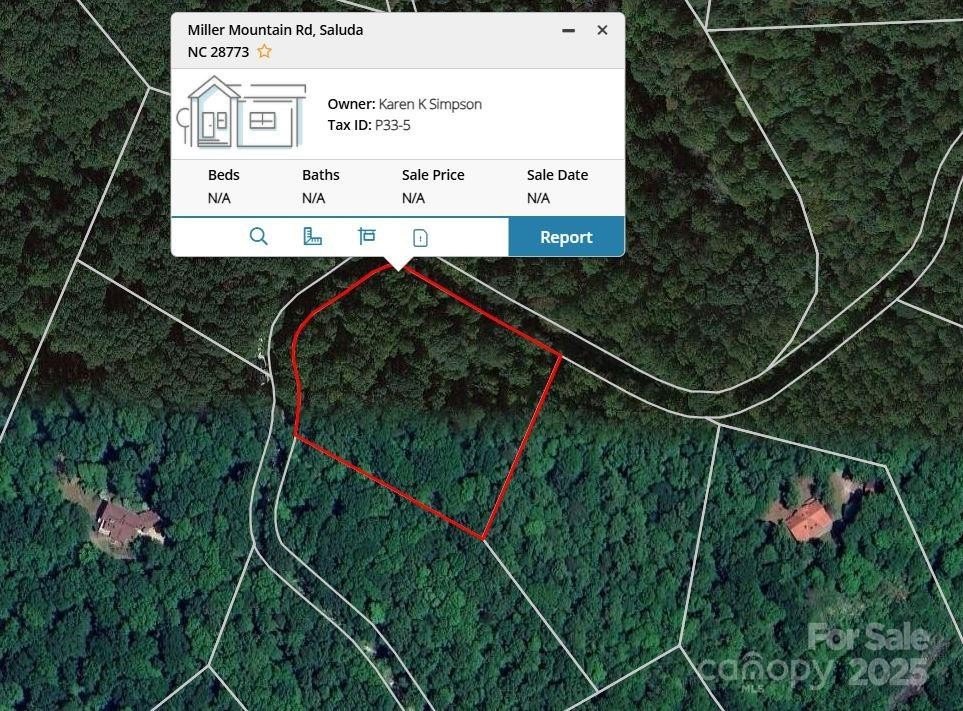 Other - 0000 TBD Miller Mountain Road, Saluda, NC