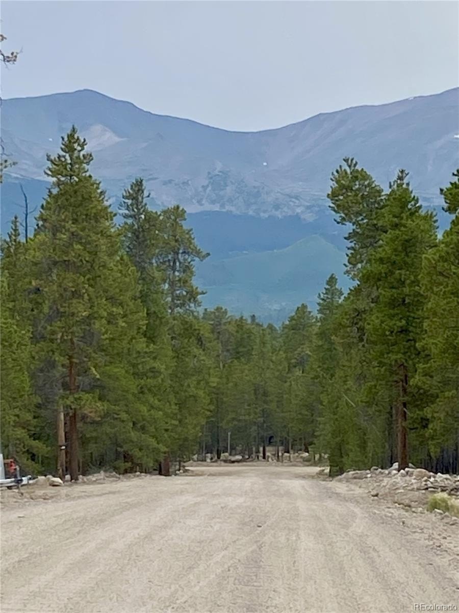 Plots and Land - 340 Peak View Drive, Twin Lakes, CO