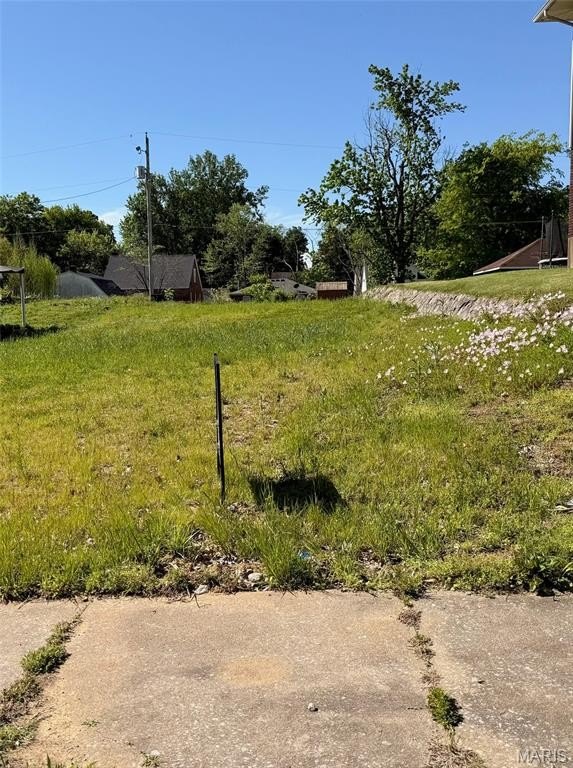 Other - 1221 Cousin Street, Cape Girardeau, MO