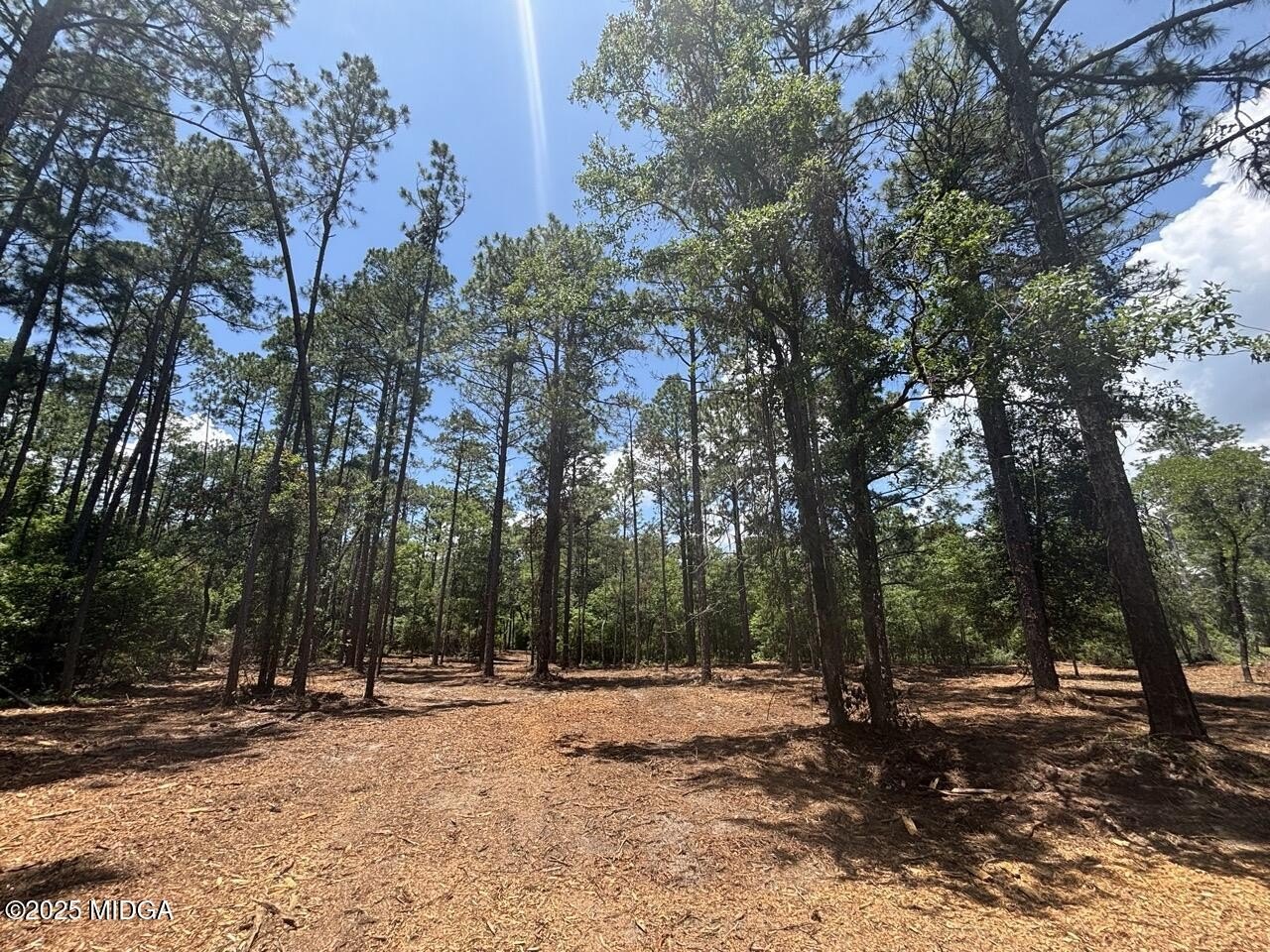 5301 Mount Pleasant Church rd Rd  