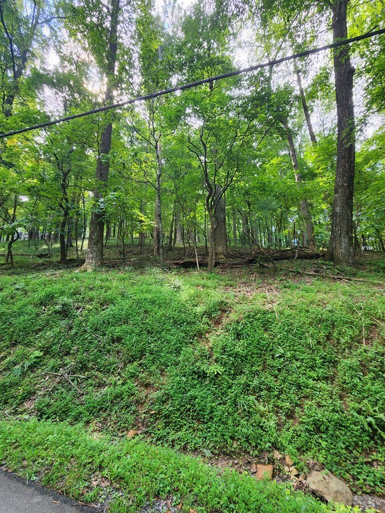 Other - LT M212E Walnut Ridge, Ellijay, GA
