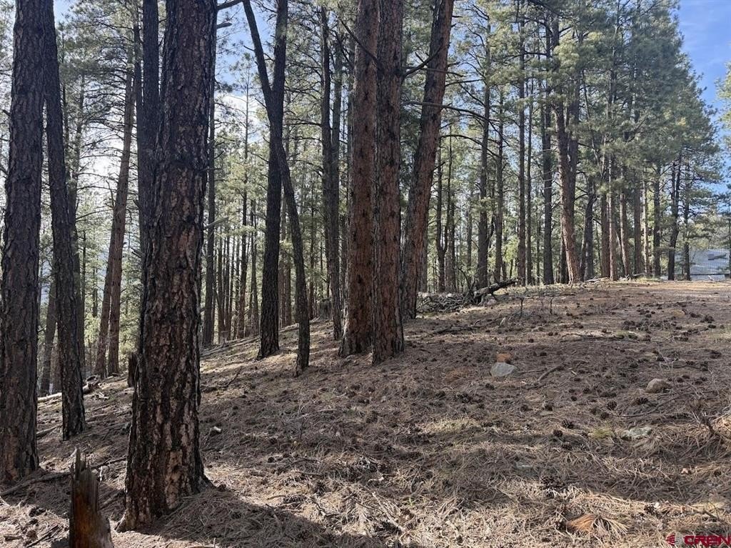 Single Family - 217 Pine Top Drive, Bayfield, CO