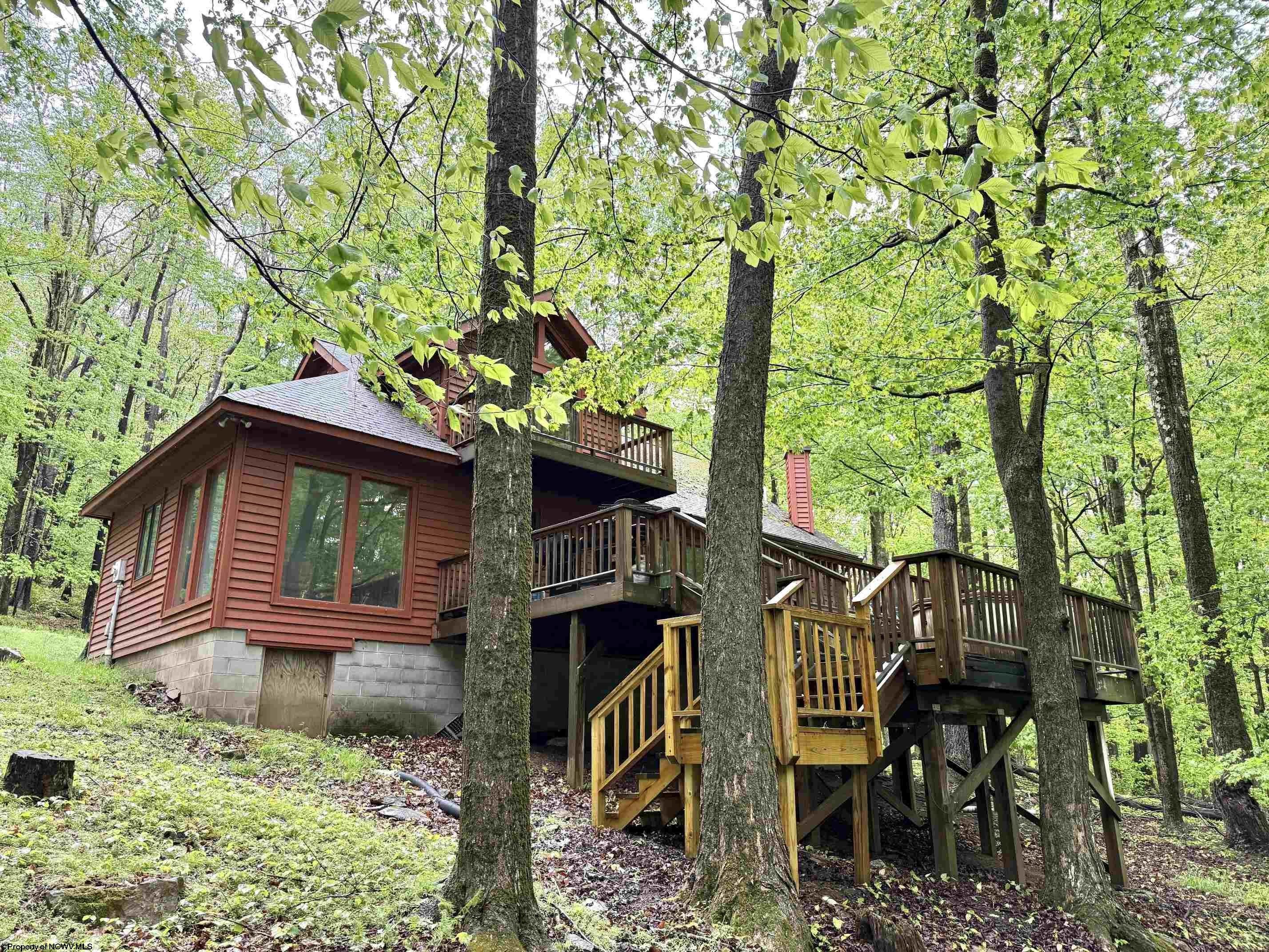 Other 3BR 3BA - 785 Ridge Road lot: 140 Mtnside, Davis, WV