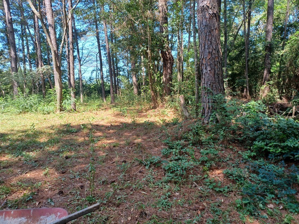 Other - NHN Cheryl Ln, Lake Hillsdale, MS