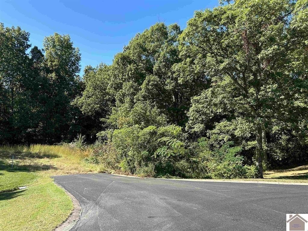 Other - Seneca Ct lot: 18, Benton, KY