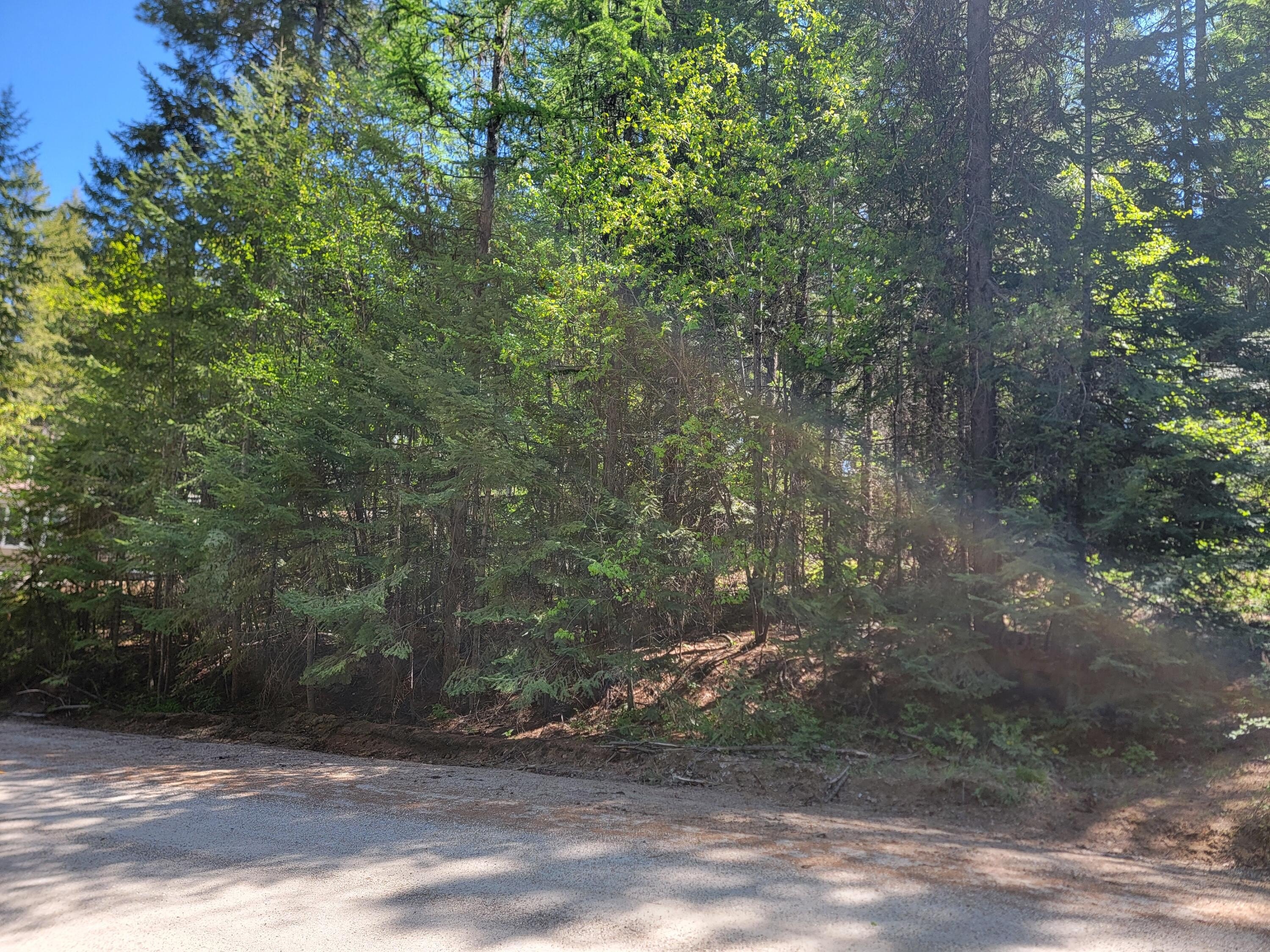 Other - 263 TWIN LAKES RD, INCHELIUM, WA