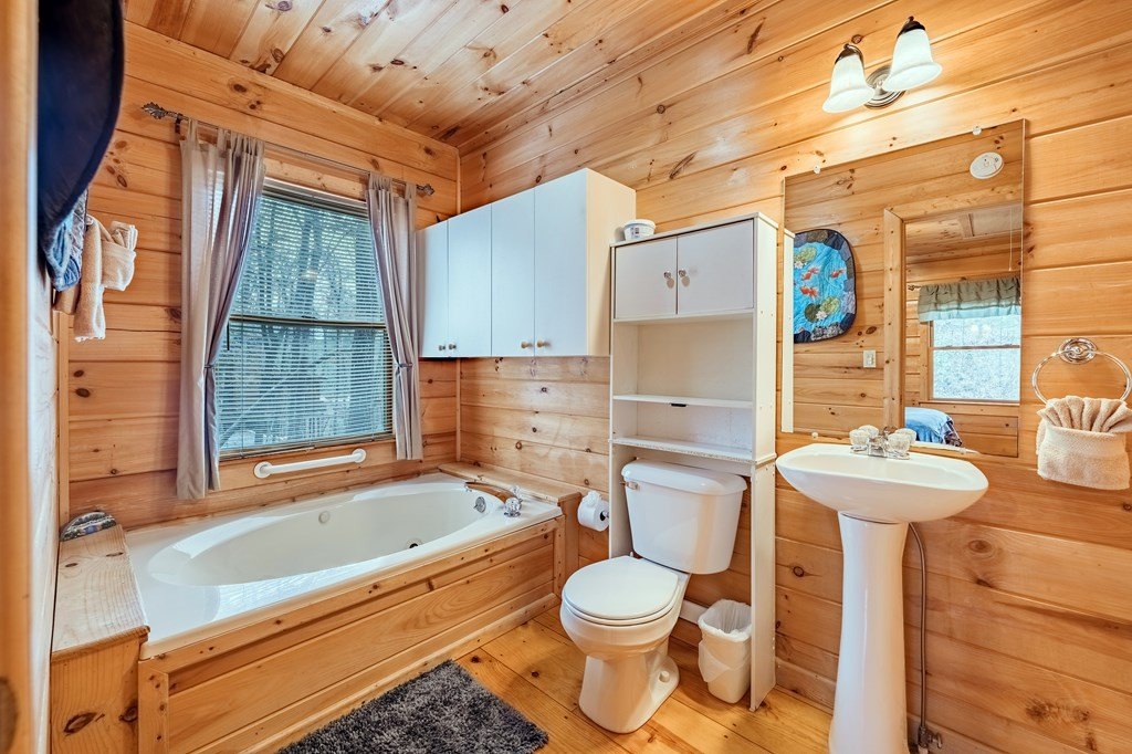 Other 2BR 2BA - 1165 Little Bushy Head Road, Blue Ridge, GA